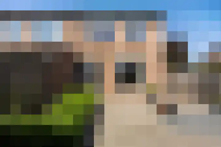 Achterkamp 45 Schoonebeek thumbnail 8