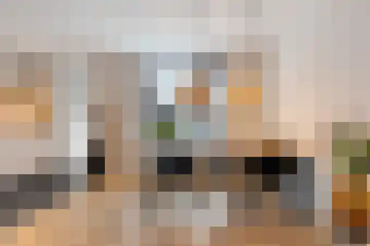Achterkamp 47 Schoonebeek thumbnail 18