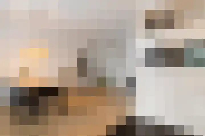 Achterkamp 47 Schoonebeek thumbnail 20