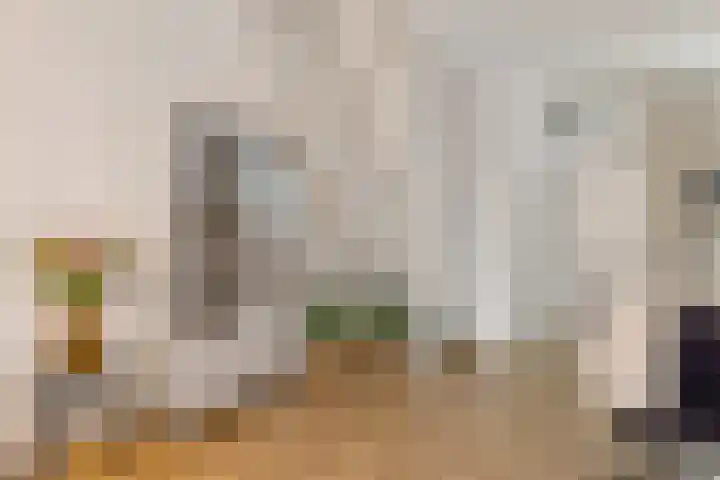 Achterkamp 47 Schoonebeek thumbnail 28