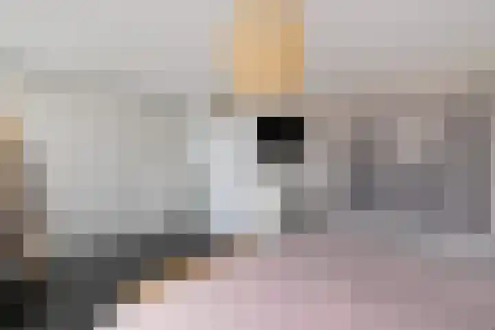 Achterkamp 47 Schoonebeek thumbnail 31