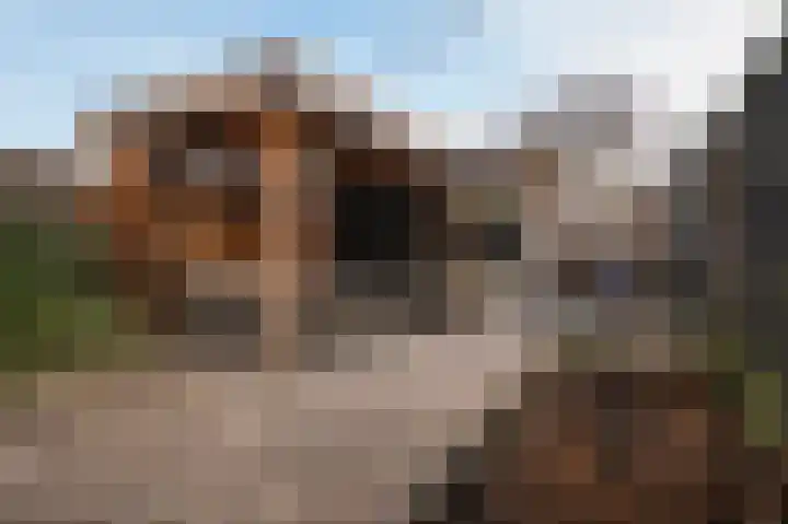 Achterkamp 51 Schoonebeek thumbnail 10