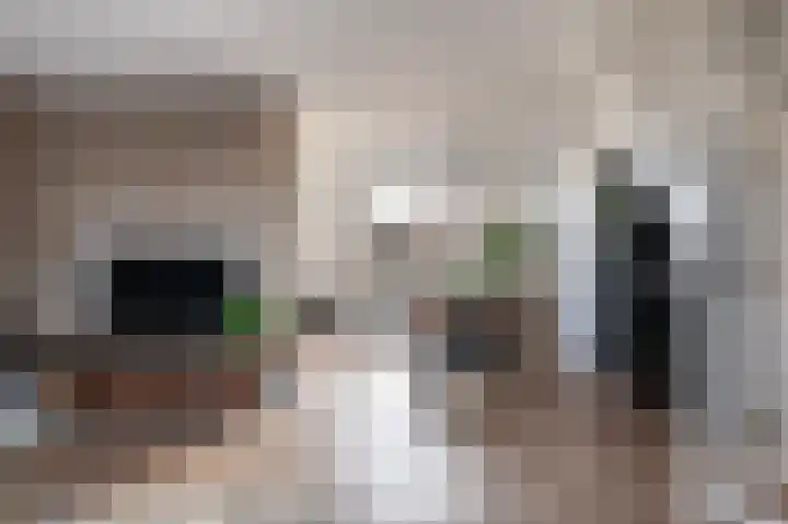 Achterkamp 51 Schoonebeek thumbnail 14