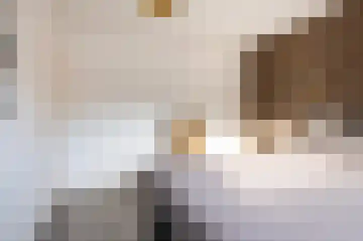 Achterkamp 51 Schoonebeek thumbnail 33