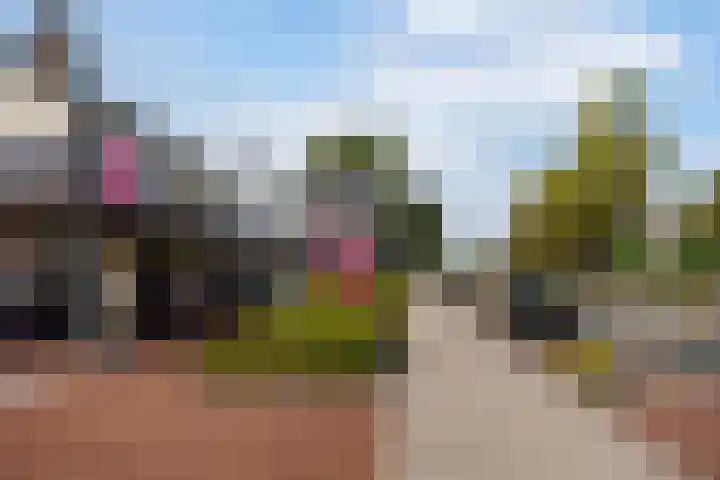 Achterkamp 51 Schoonebeek thumbnail 48