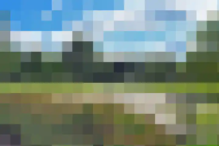 Achterkamp 51 Schoonebeek thumbnail 51