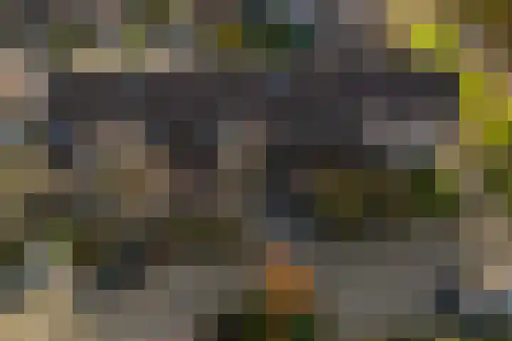 Achterkamp 51 Schoonebeek thumbnail 7