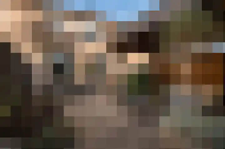 Achterkamp 51 Schoonebeek thumbnail 9