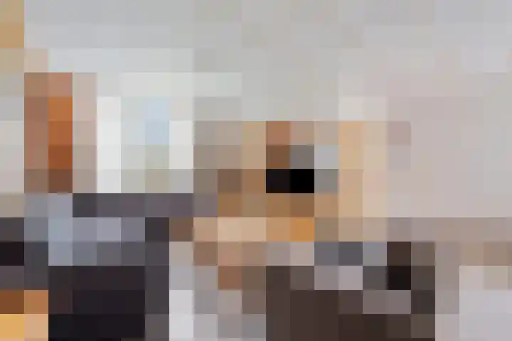 Achterkamp 55 Schoonebeek thumbnail 12