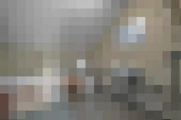 Achterkamp 55 Schoonebeek thumbnail 27