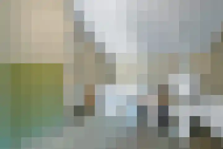Achterkamp 55 Schoonebeek thumbnail 29