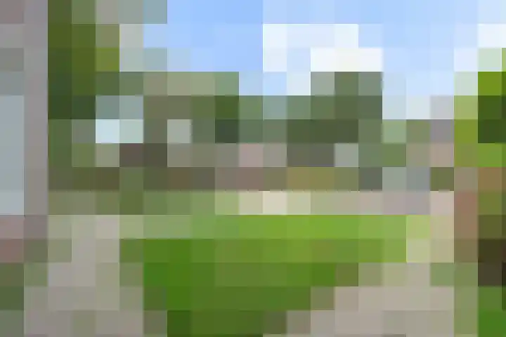 Achterkamp 55 Schoonebeek thumbnail 39