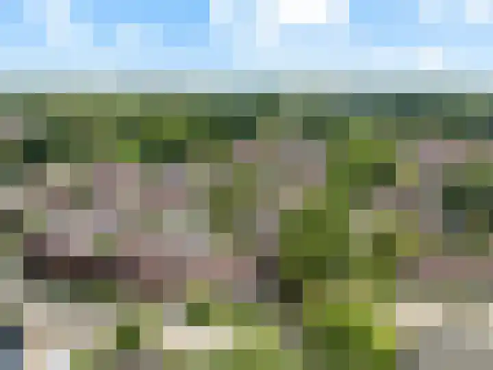 Achterkamp 55 Schoonebeek thumbnail 40
