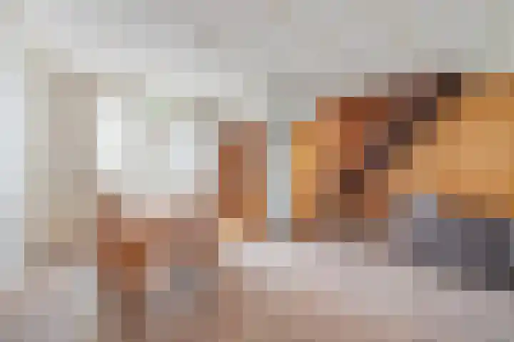 Achterkamp 55 Schoonebeek thumbnail 7