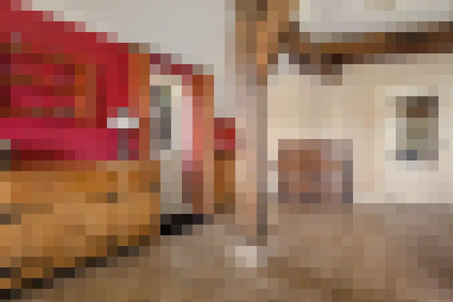 Achterkamp 8 Dalen thumbnail 12