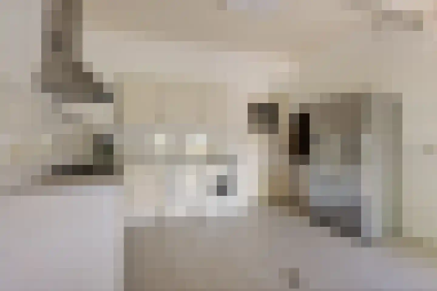 Achterkamp 8 Dalen thumbnail 26