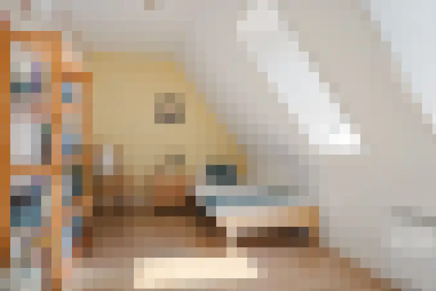 Achterkamp 8 Dalen thumbnail 34