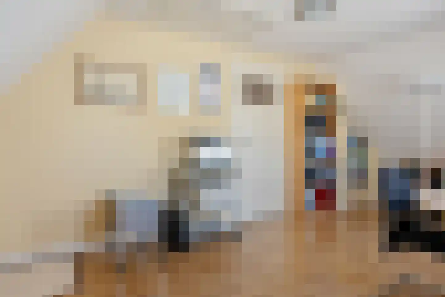 Achterkamp 8 Dalen thumbnail 38