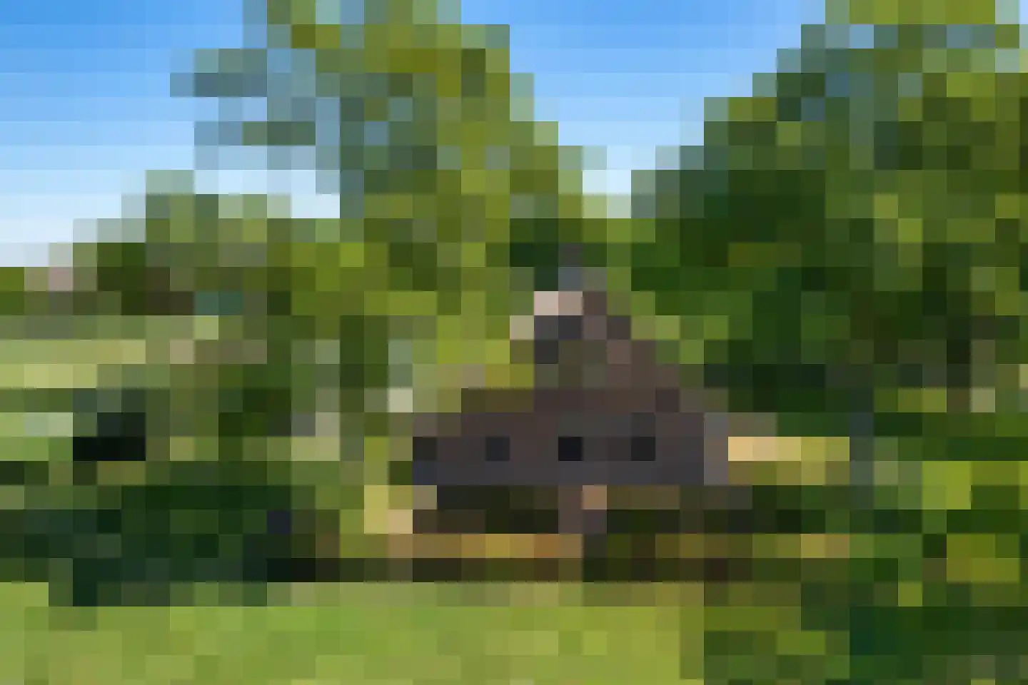 Achterkamp 8 Dalen thumbnail 4