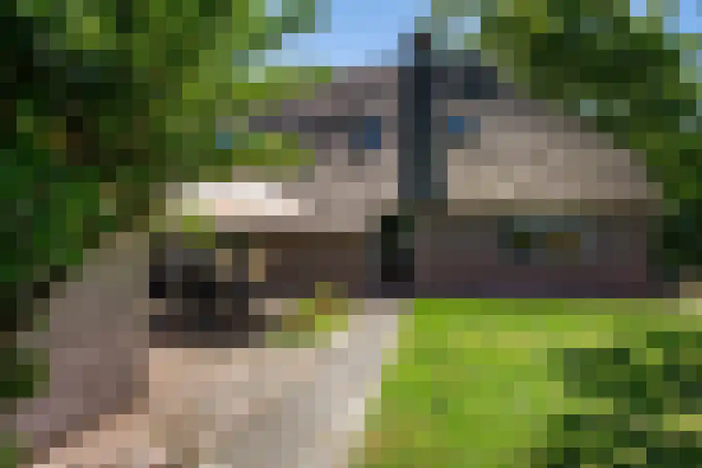 Achterkamp 8 Dalen thumbnail 45