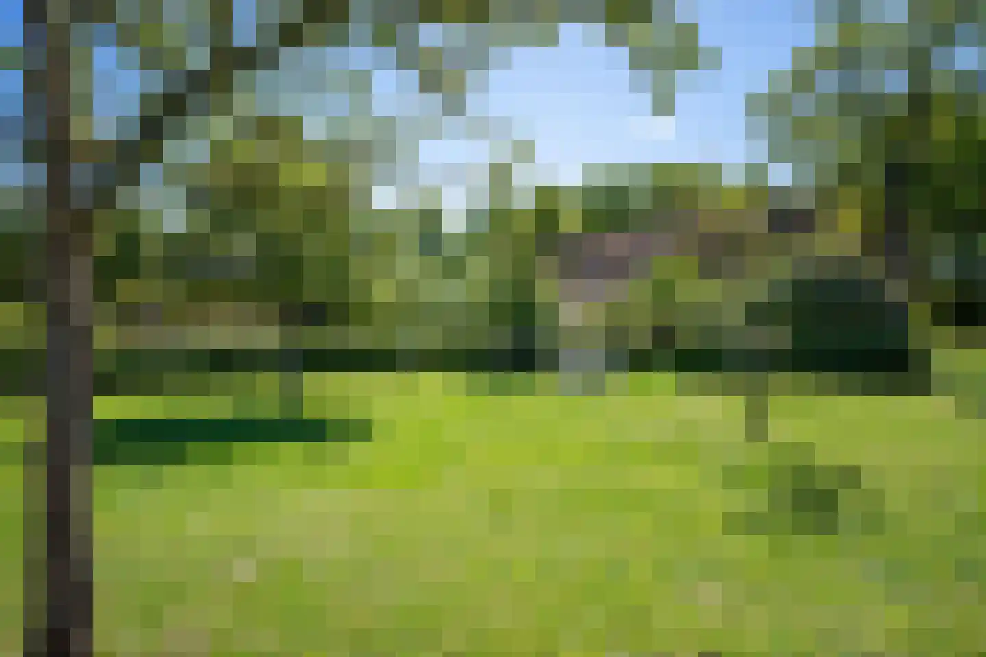 Achterkamp 8 Dalen thumbnail 48