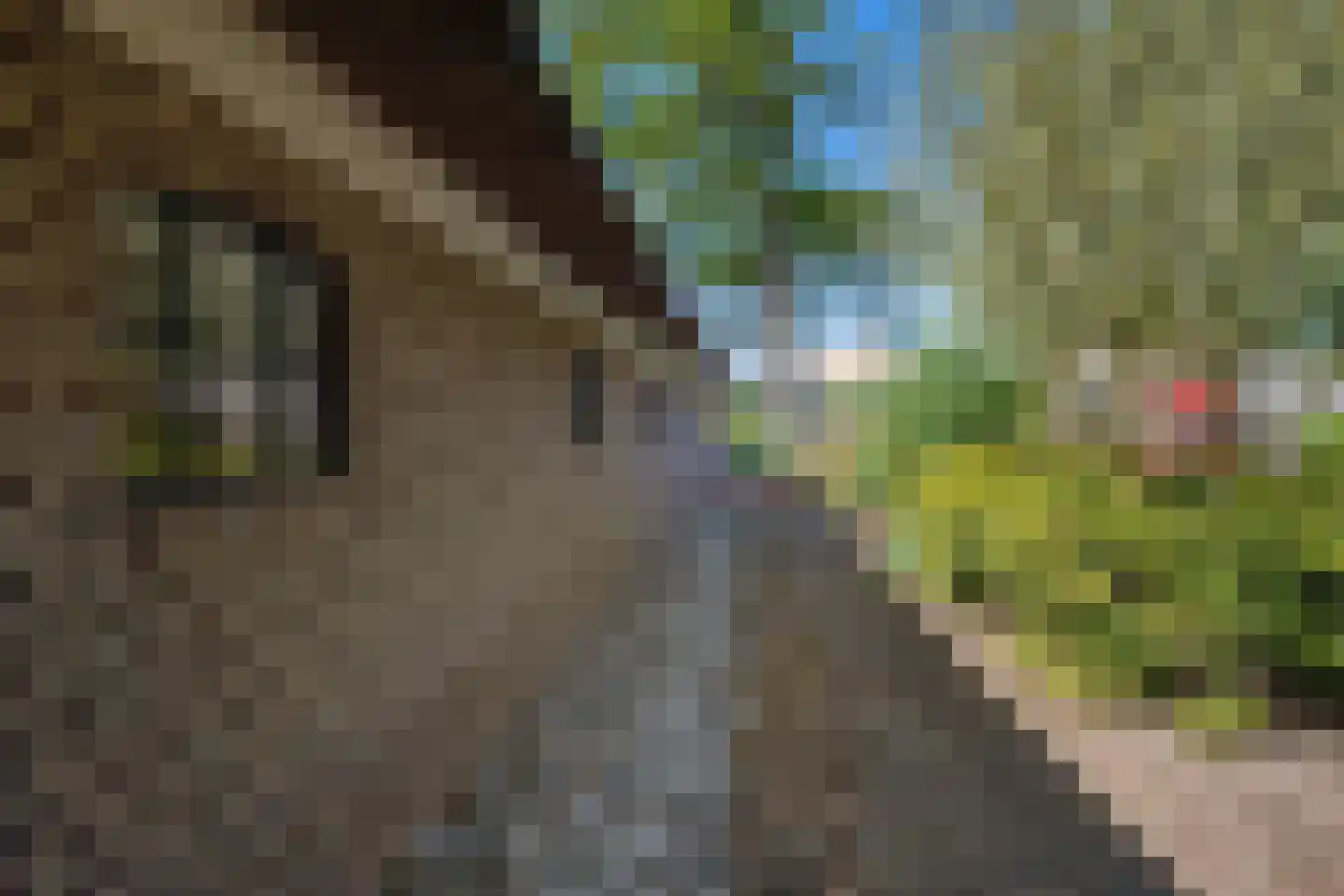 Achterkamp 8 Dalen thumbnail 49