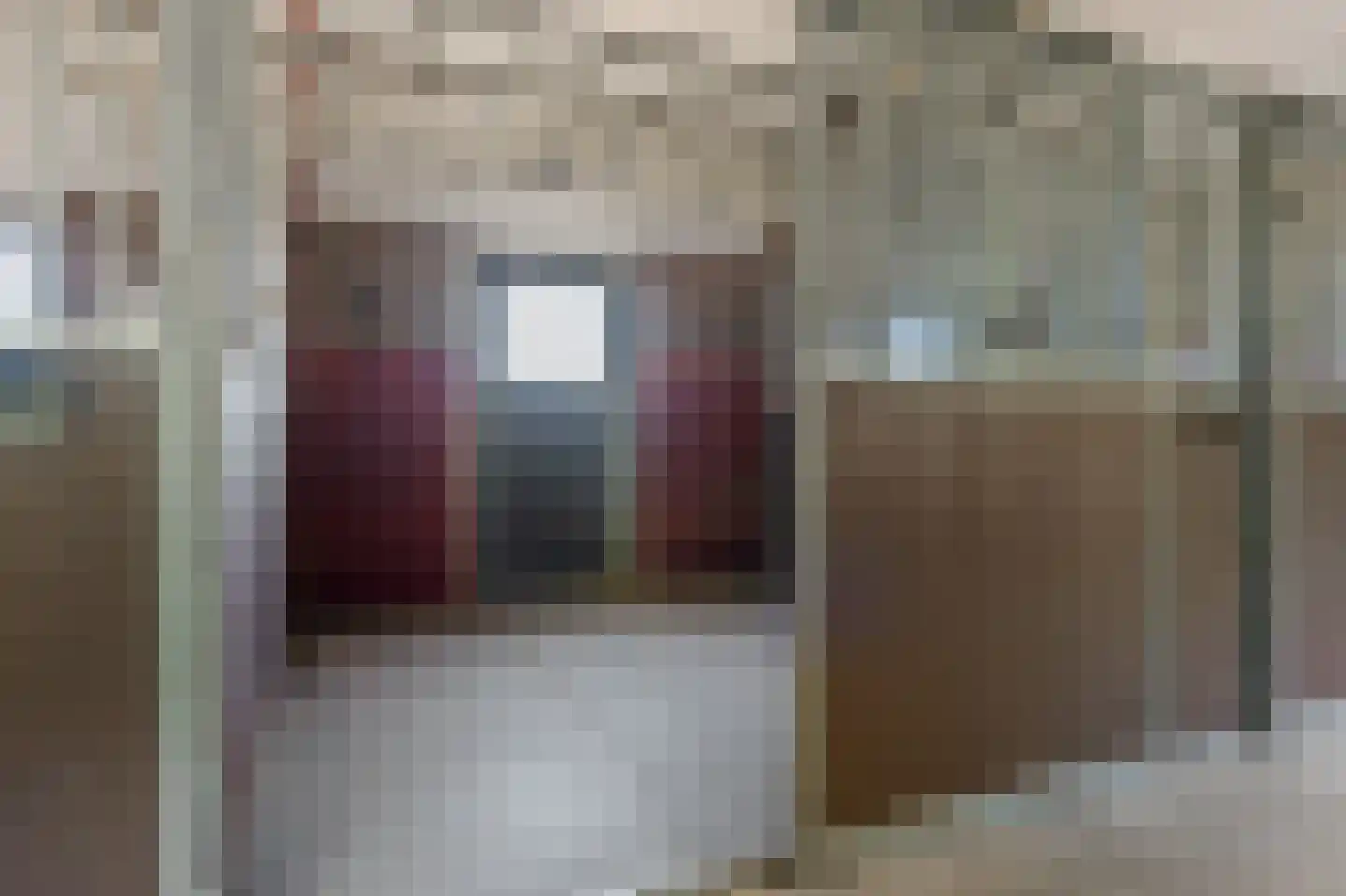 Achterkamp 8 Dalen thumbnail 55