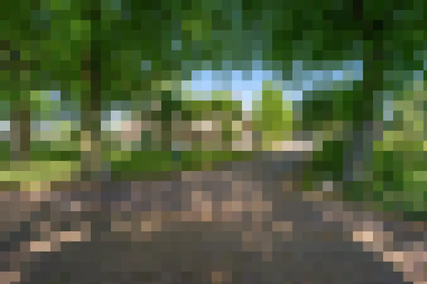 Achterkamp 8 Dalen thumbnail 63