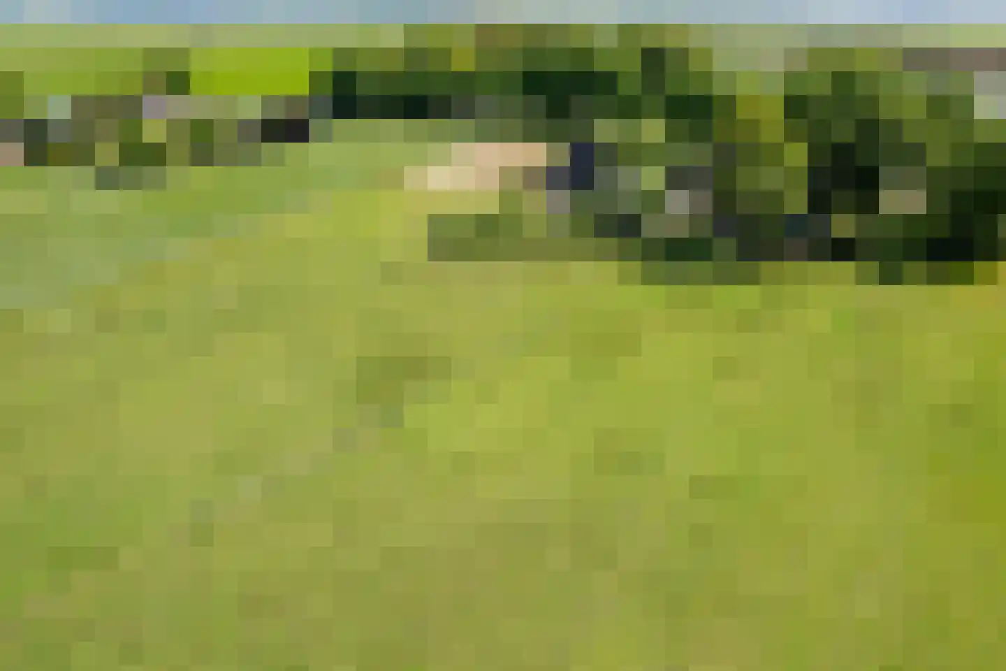 Achterkamp 8 Dalen thumbnail 65