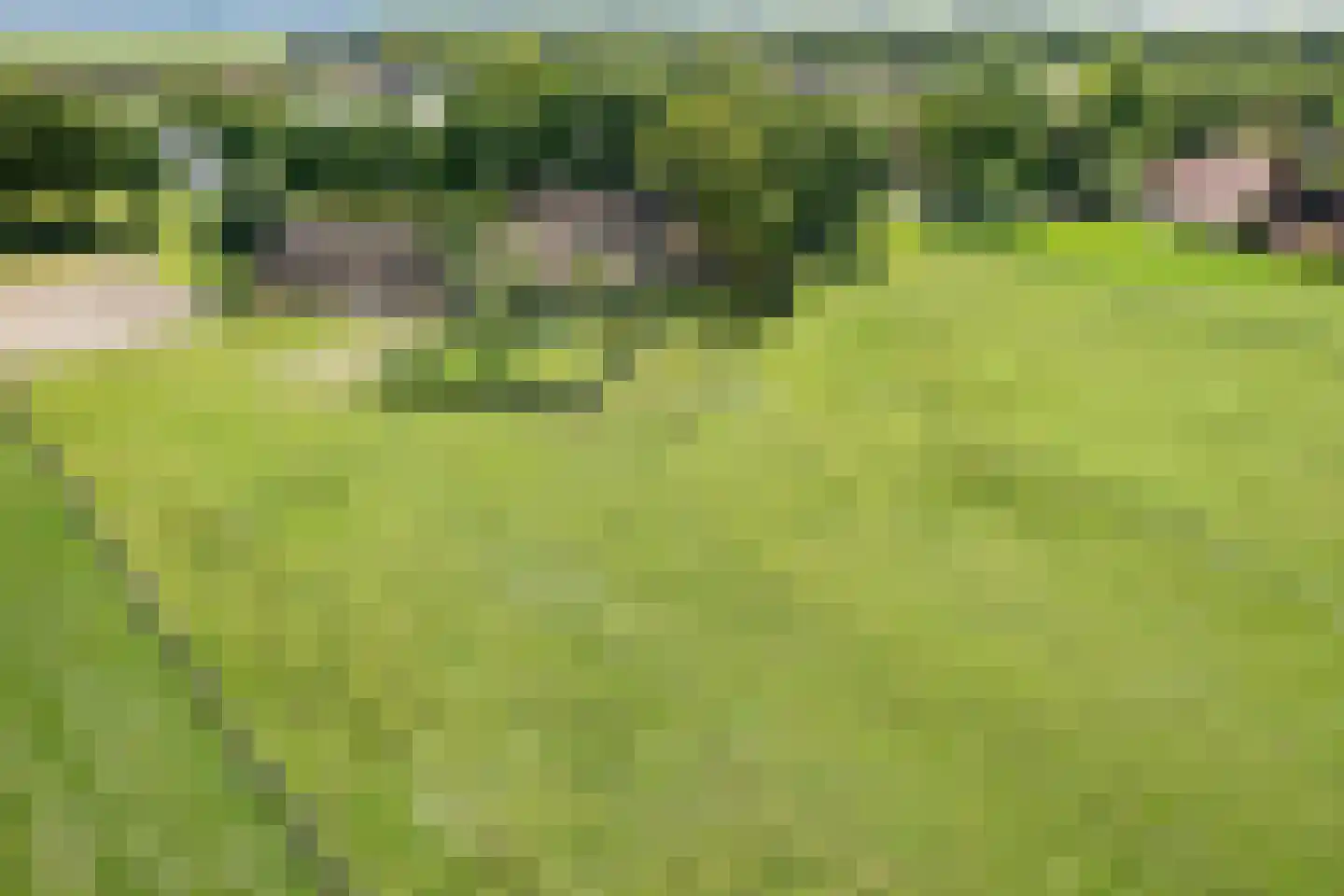Achterkamp 8 Dalen thumbnail 66