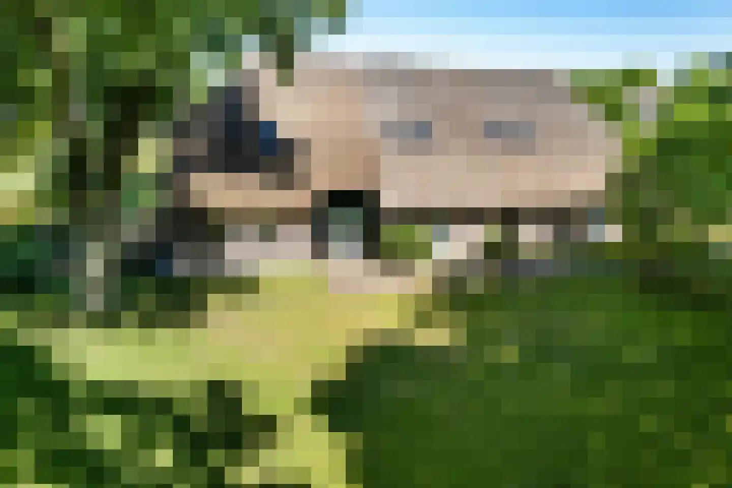 Achterkamp 8 Dalen thumbnail 7