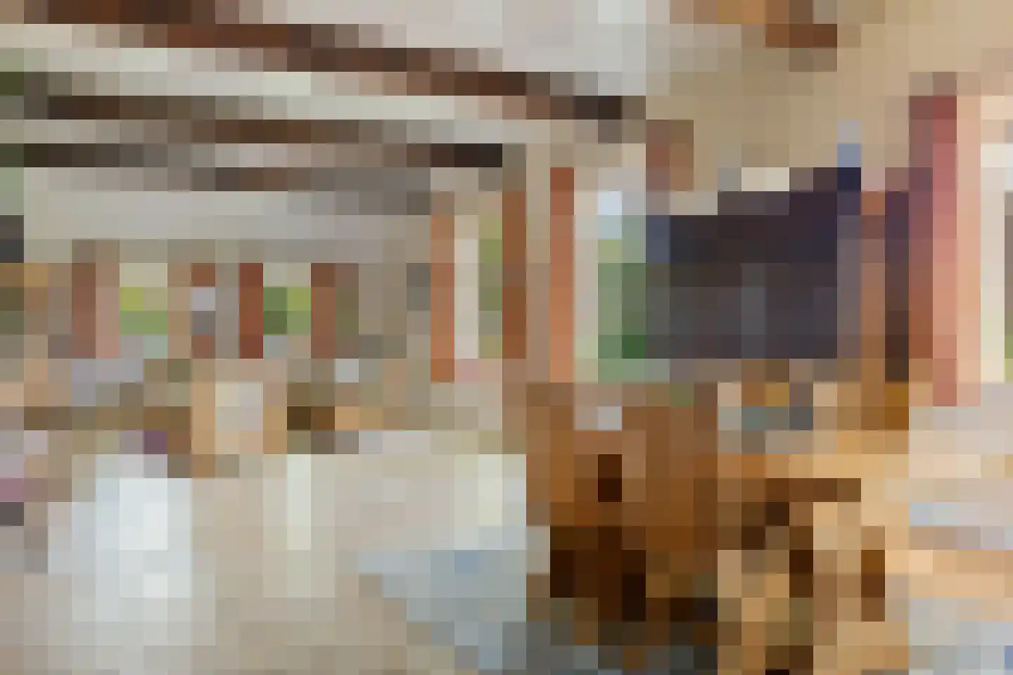 Achterkamp 8 Dalen thumbnail 9