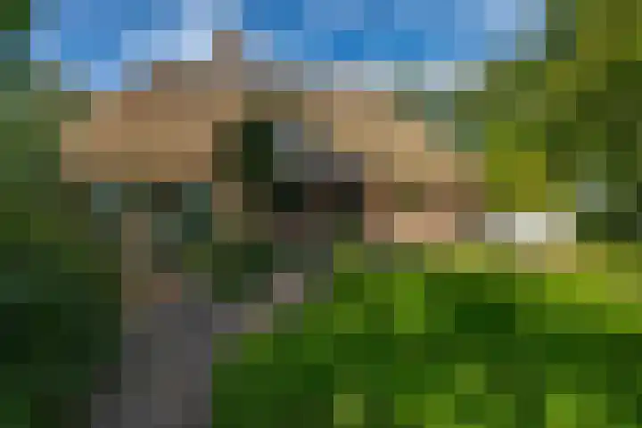 Achterkampweg 16 Lemelerveld foto 2