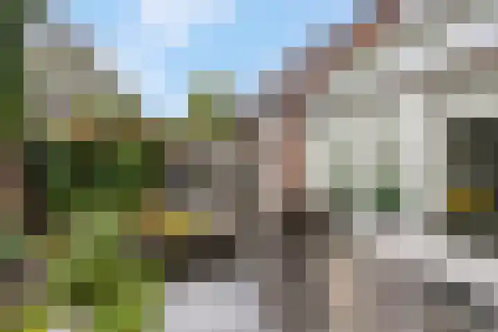 Achterkerkstraat 33 Veenendaal thumbnail 40