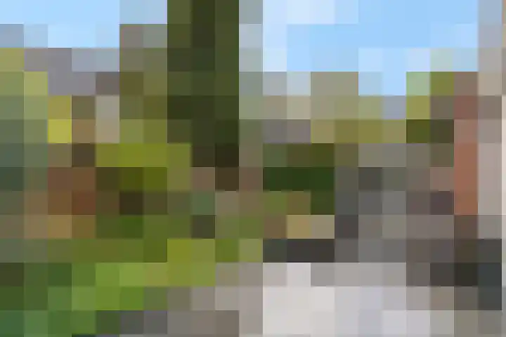 Achterkerkstraat 33 Veenendaal thumbnail 43