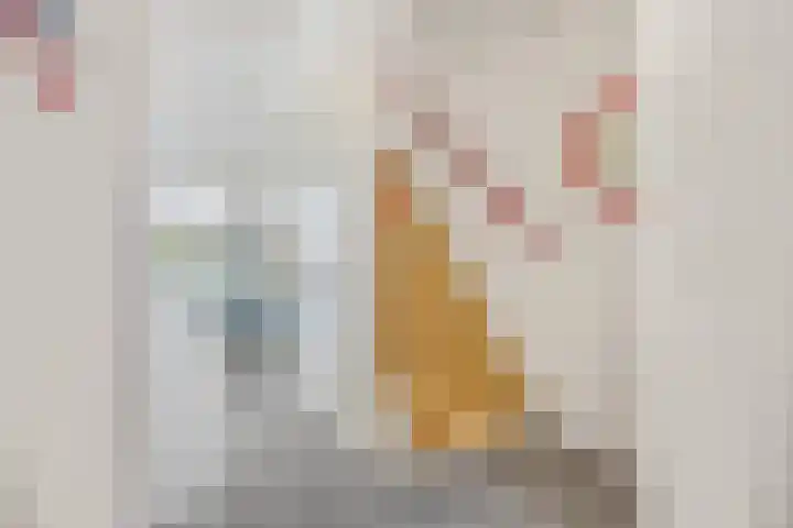 Achterkerkstraat 33 Veenendaal thumbnail 7