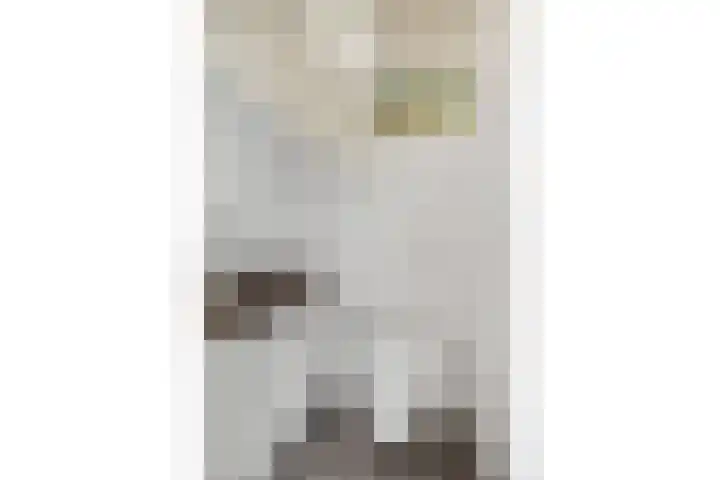 Achterkerkstraat 33 Veenendaal thumbnail 9