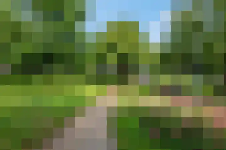 Achterkerkstraat 5 Veenendaal thumbnail 22