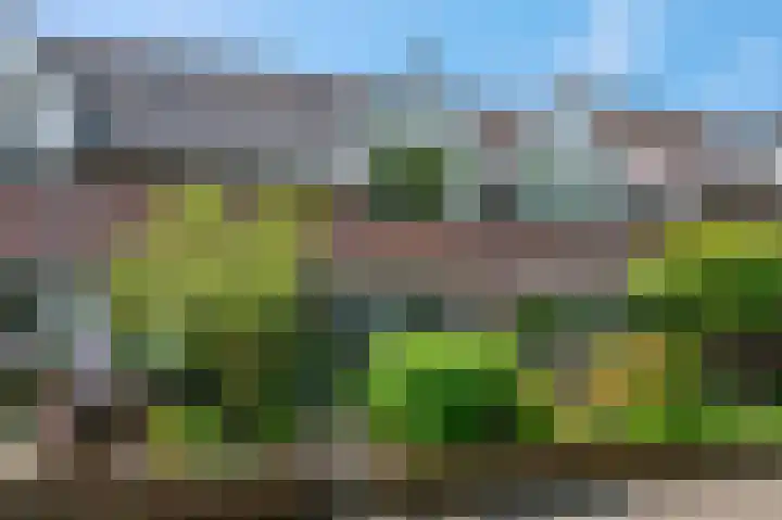 Achterkerkstraat 5 Veenendaal thumbnail 31