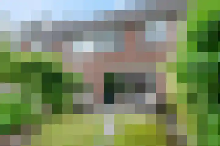 Achterkerkstraat 5 Veenendaal thumbnail 4