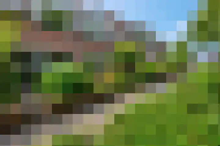 Achterkerkstraat 5 Veenendaal thumbnail 5