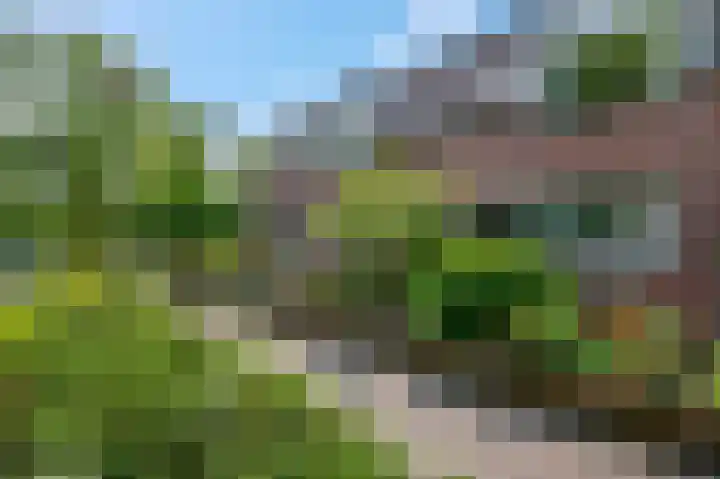 Achterkerkstraat 5 Veenendaal thumbnail 6
