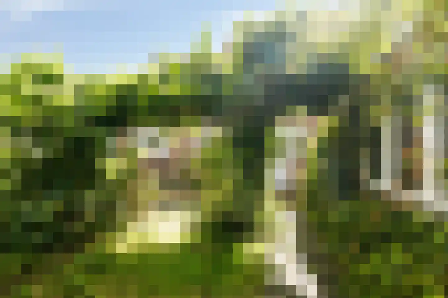 Achterkerkstraat 54 Veenendaal thumbnail 5