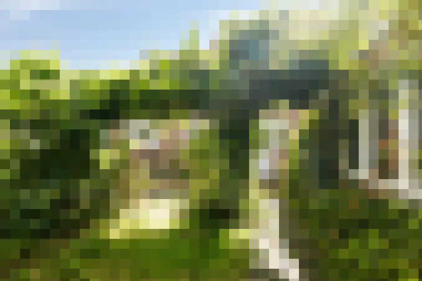 Achterkerkstraat 54 Veenendaal thumbnail 5
