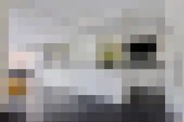 Achterkerkstraat 87 Veenendaal thumbnail 13