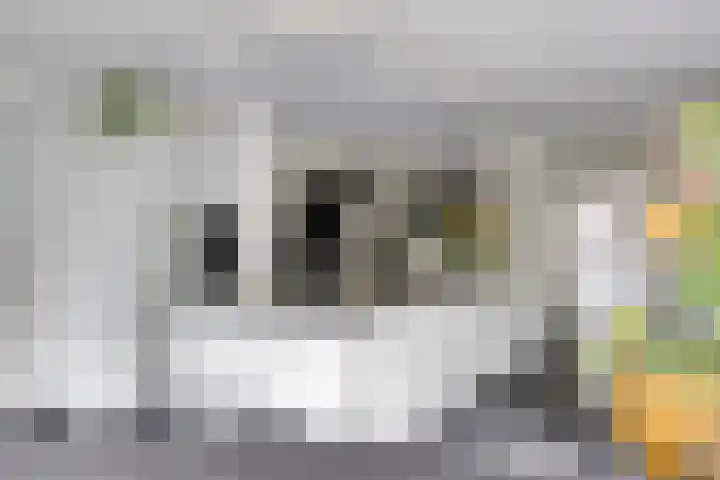 Achterkerkstraat 87 Veenendaal thumbnail 17
