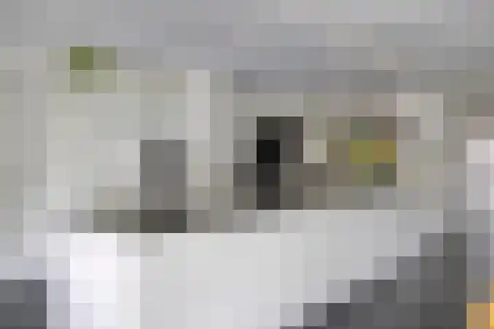 Achterkerkstraat 87 Veenendaal thumbnail 19