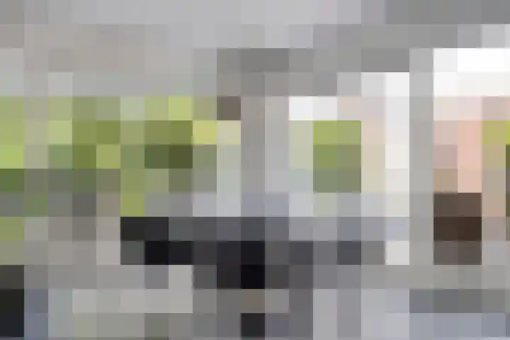 Achterkerkstraat 87 Veenendaal thumbnail 22