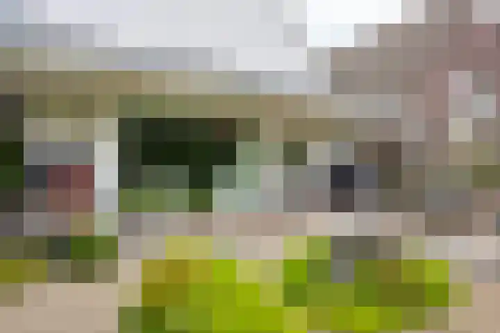 Achterkerkstraat 87 Veenendaal thumbnail 39