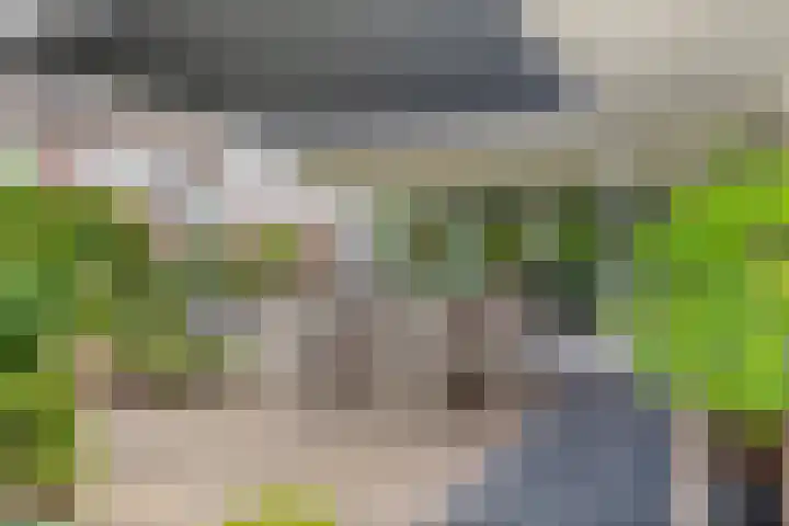 Achterkerkstraat 87 Veenendaal thumbnail 42